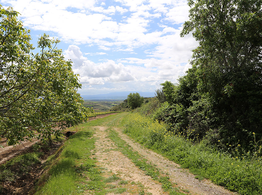 Inicio de la Vía Verde Inicio de la Vía Verde